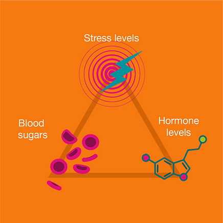 Kinesiology triangle of health - stress, blood sugars and hormones