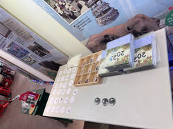 DIY徽章和動物園桌曆