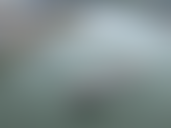 ANTAQ MARCA AUDIÊNCIA PÚBLICA SOBRE A CONCESSÃO DO CANAL DO PORTO DE SANTOS