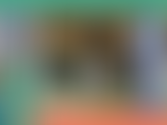 ANTAQ LANÇA PROGRAMA DE QUALIDADE REGULATÓRIA E PLANO ANUAL PARA ELEVAR MATURIDADE E SEGURANÇA JURÍDICA DO SETOR AQUAVIÁRIO