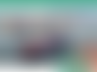 DECISÃO DO TRF4 LIBERA OPERAÇÃO PLENA DOS PORTOS DO PARANÁ