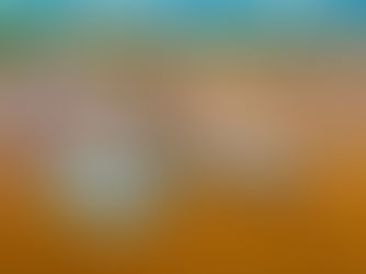 LICITAÇÃO DE R$ 51,3 MI IP4 DE PARINTINS IMPULSIONA LOGÍSTICA FLUVIAL