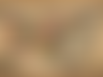 Women Whose Names Built Plattsburgh