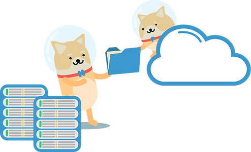NPSG_cloud backup (1).png