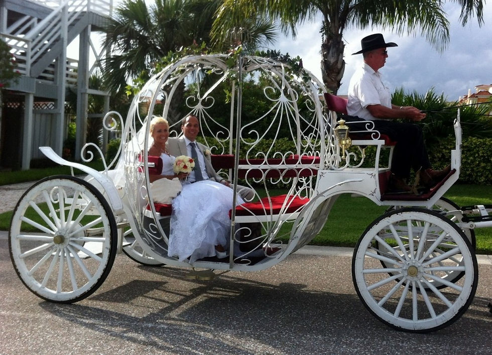 Wedding/Special/Lemosines