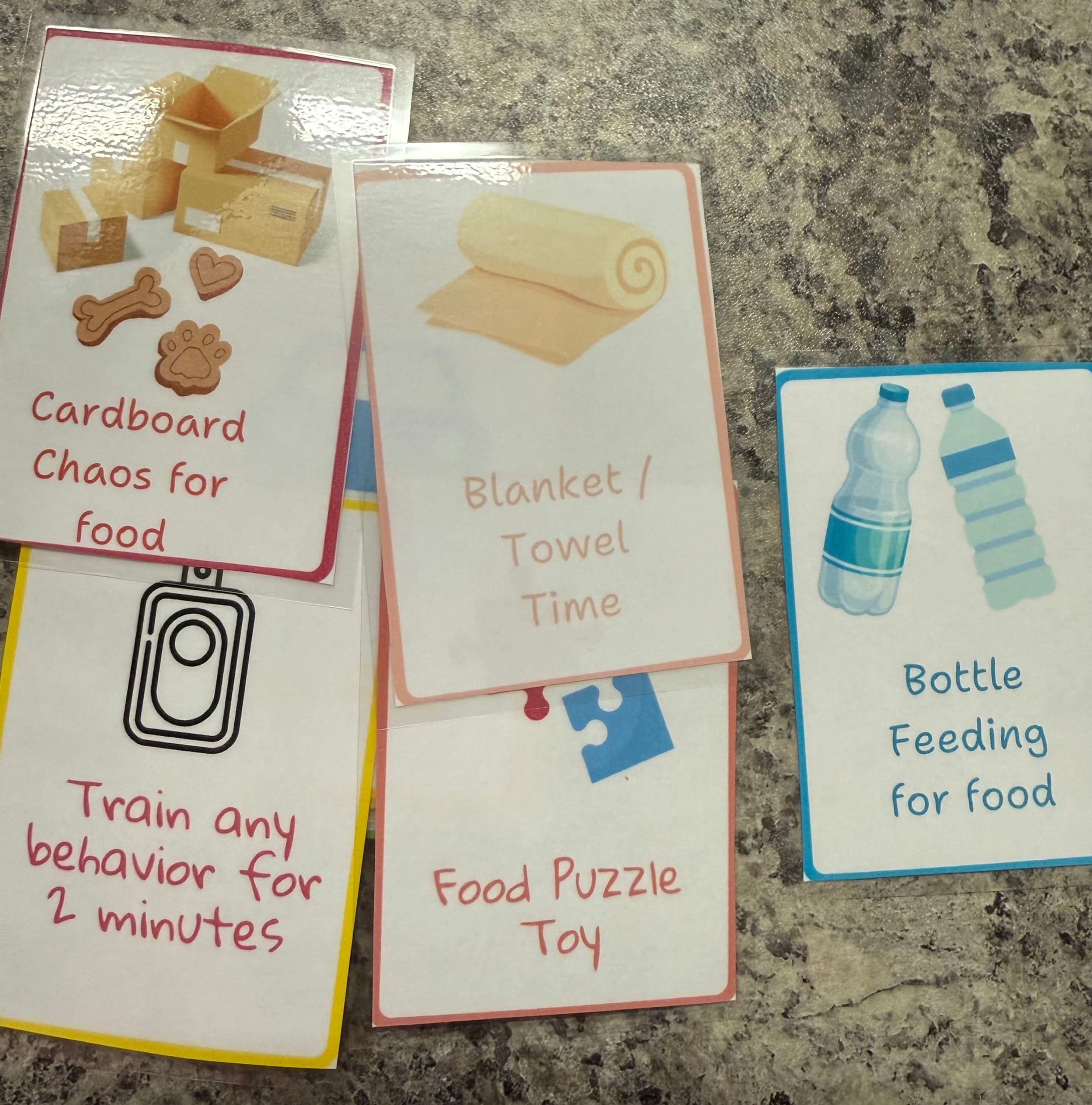 Enrichment/Activity Cards