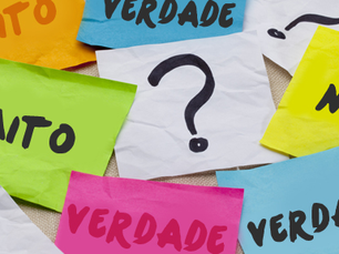 Mitos e verdades: somente voto em mulher, se for competente