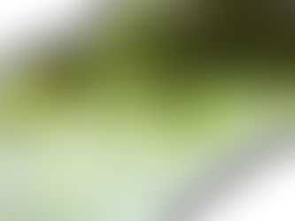 What is transfer learning and why it is so important to artificial intelligence