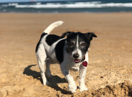 Update on amazing Lucy!