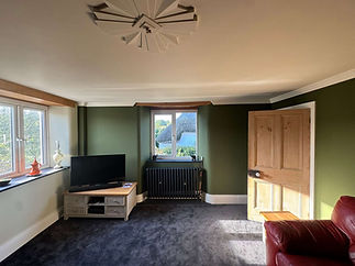 Renovated living room with green walls and traditional radiator