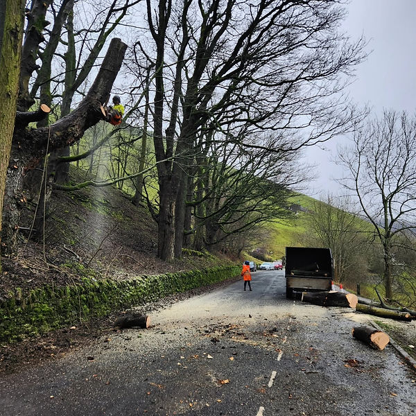 Site clearance vehicle operating on a wet asphalt road