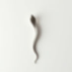 Essential Herringbone Snake