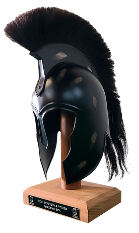 helmet.png