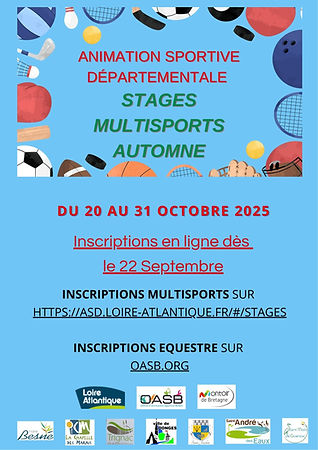 Copie de Copie de Stages multisports.jpg