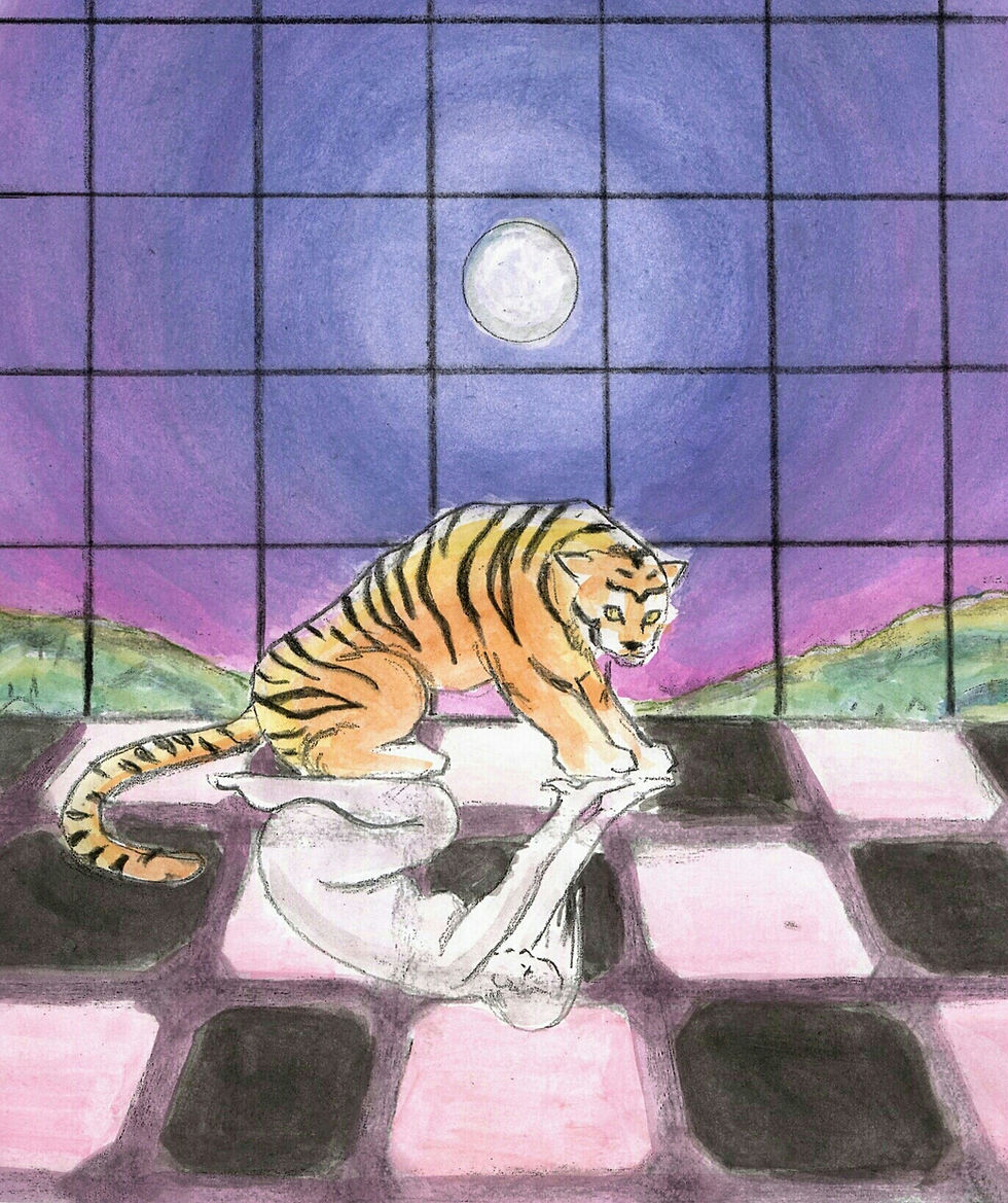 Tiger crouching with human figure reflection