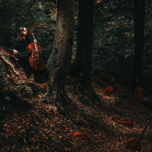 Maple Waves, le nouvel album de Timothée Couteau
