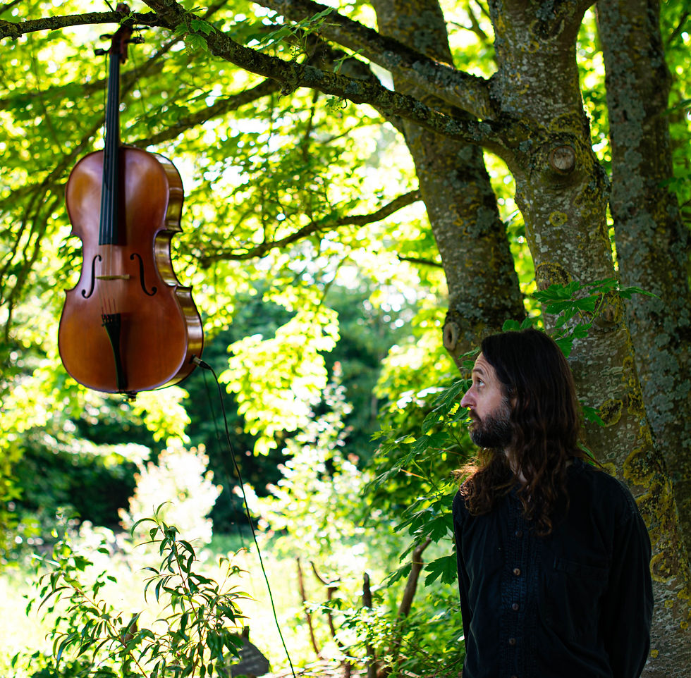 Timothée Couteau - Conférence De l'Arbre au Violoncelle