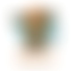 Histoire d'Eux - Duo Violon/accordéon