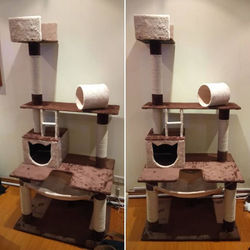 Producto del mes de Febrero en YummyPet._Ref