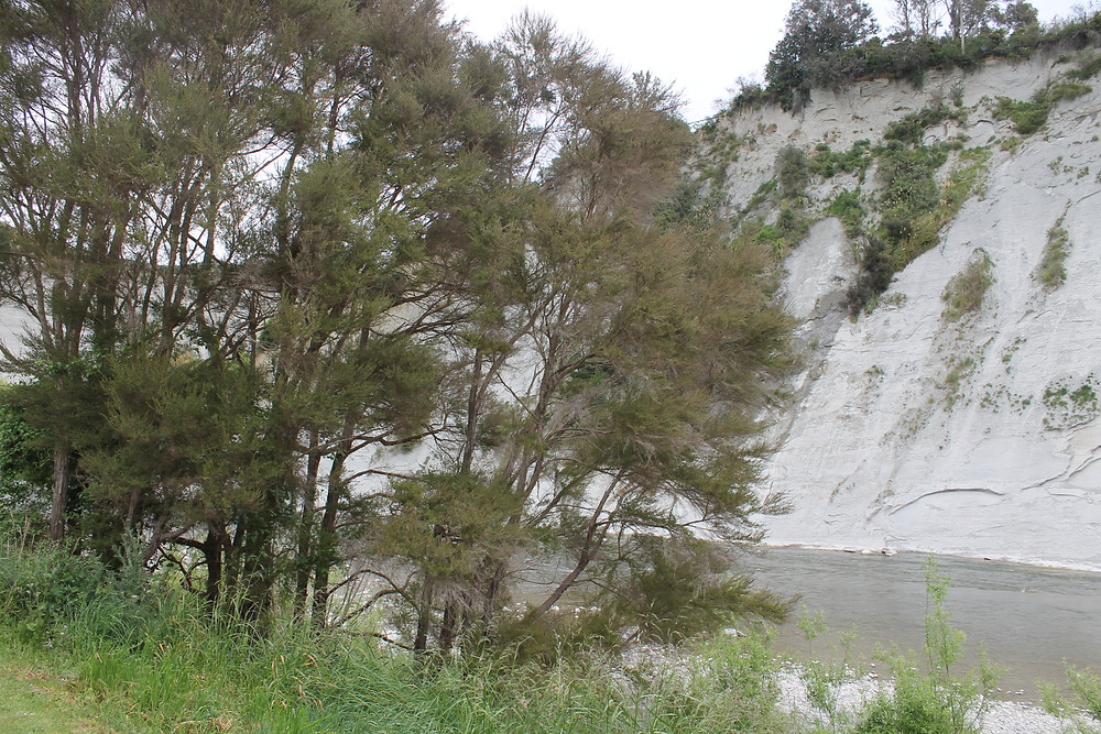 Maungaweka campgrounds Awastone