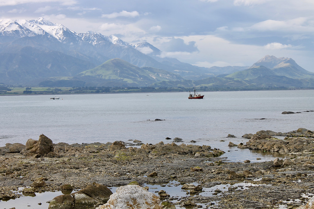 Kaikoura- EV-road-trip