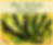 The New Bake _Day Front Page 2026 1.png Mother's Day 2026 Brunch Quiche.png