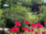 Refuge of Divine Love - Refugio de amor divino