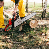 Person with chainsaw about to cut into log