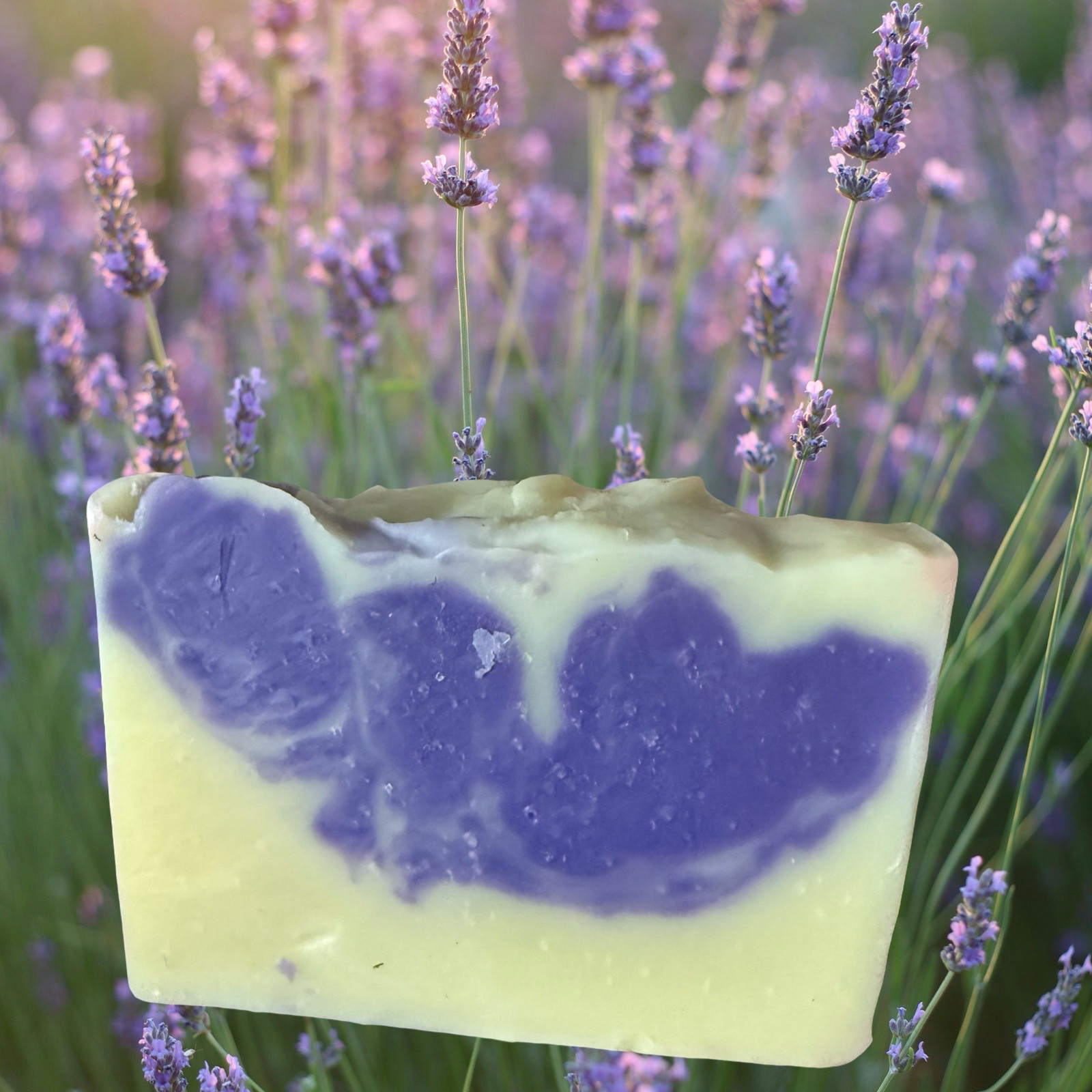 Lavender