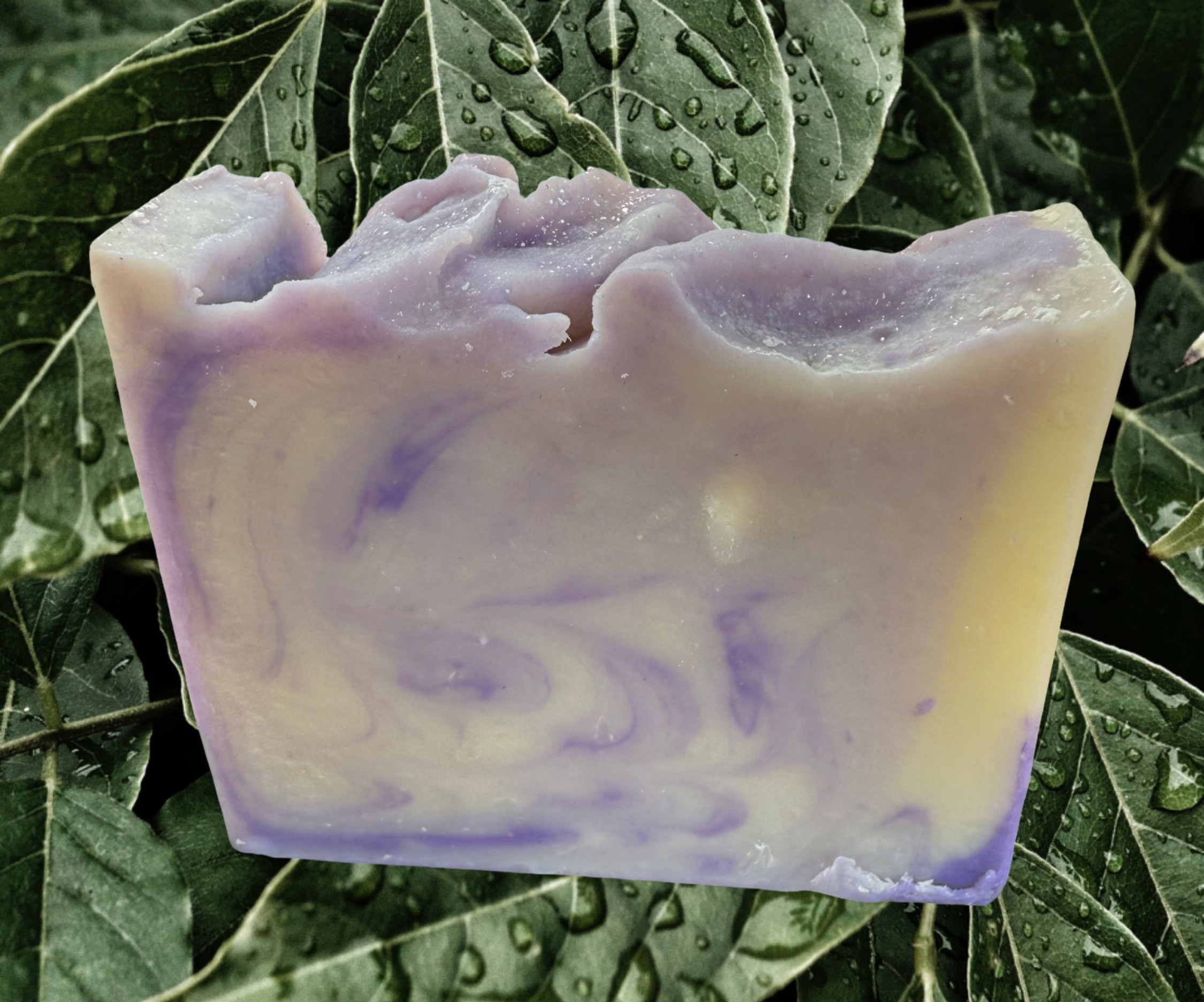Cedar Musk and Lavender