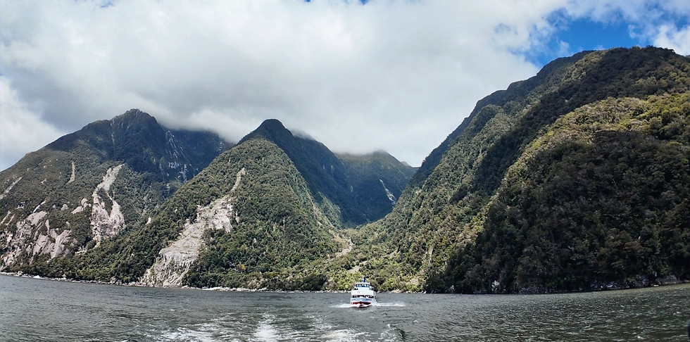 NZ 3_edited.jpg