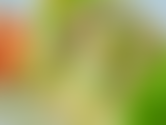 RESEPI SANDWICH TELUR MAYONIS 