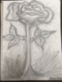 IMG_9838.jpeg