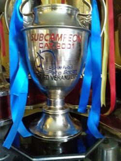 subcampeon cat2001 tv2015