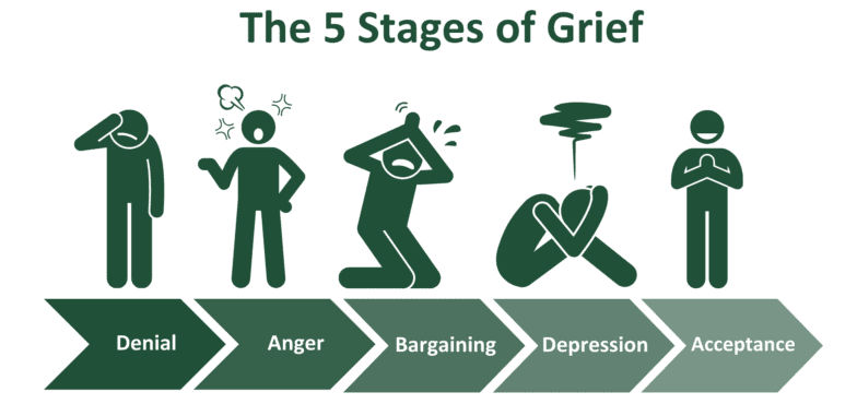 5 stages