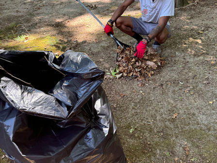 kid raking leaves