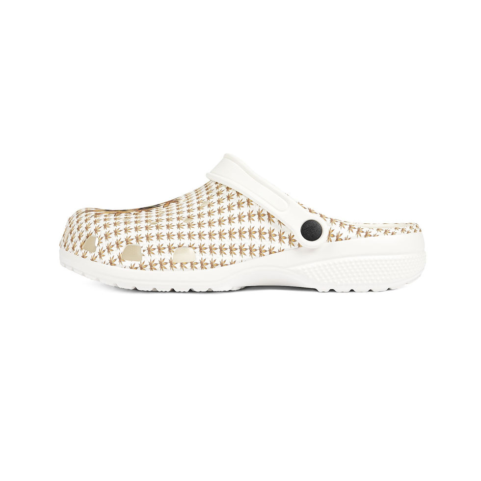 थंबनेल: MHA Shoes Slippers–Silent Rebel