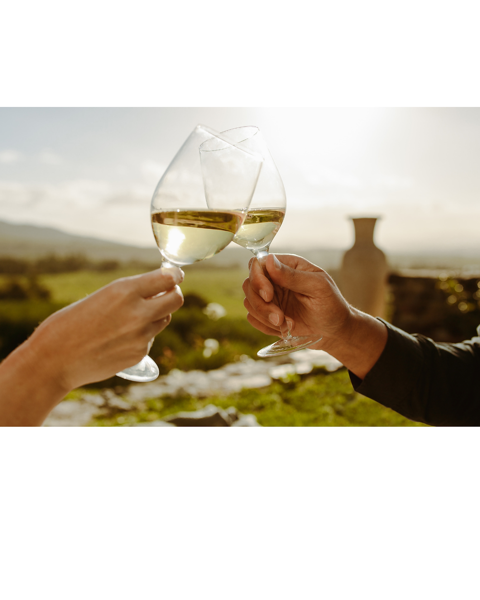 Summer wines