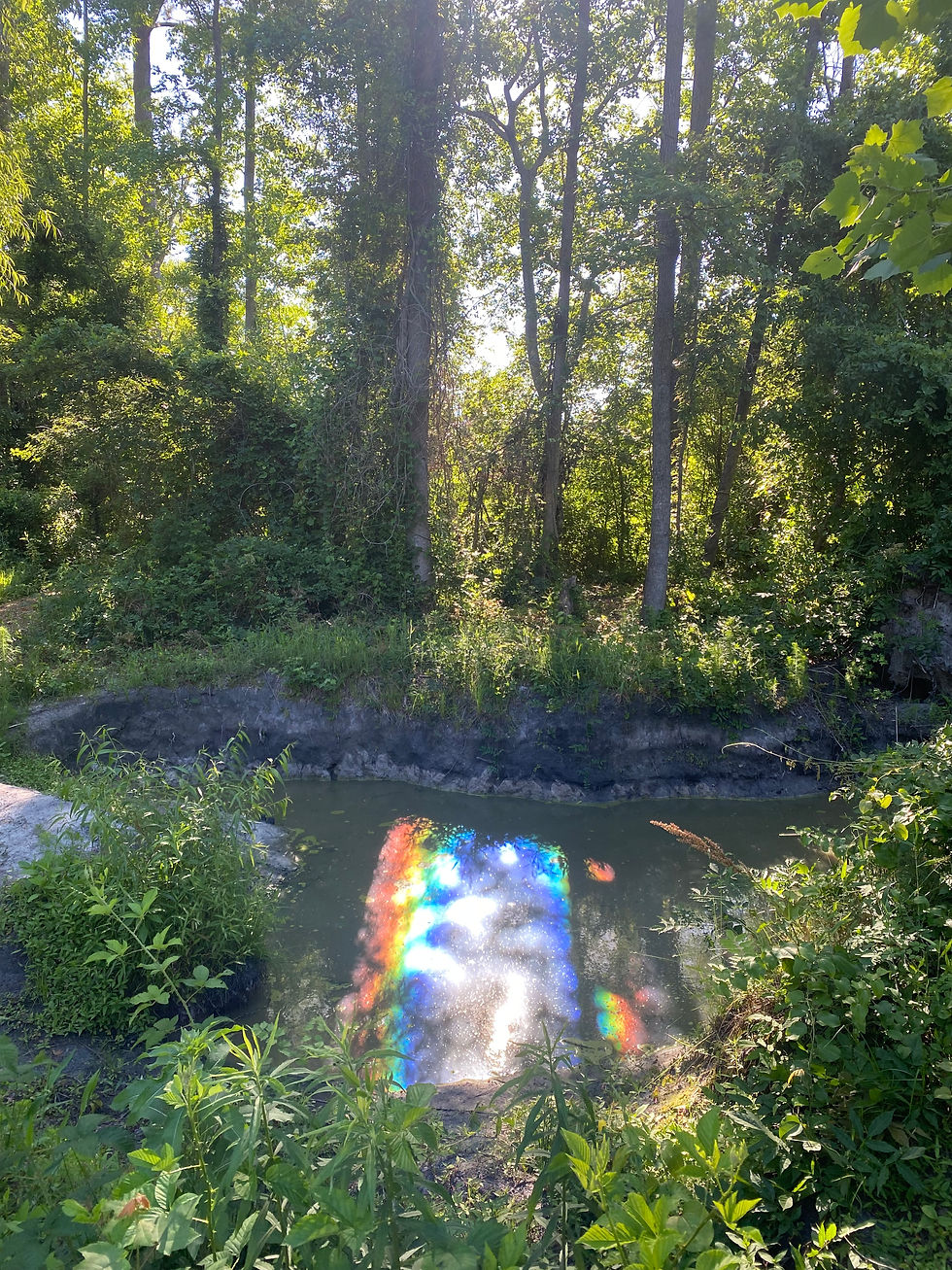 A surprise rainbow on our little pond