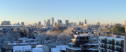 新宿内藤町ハウス_edited.jpg