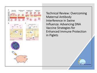 Technical Review: Overcoming Maternal Antibody Interference in Swine Influenza: Advancing DNA Vaccine Strategies for Enhanced Immune Protection in Piglets