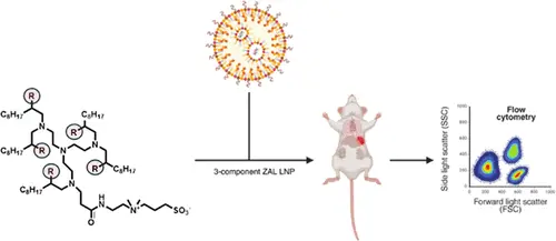 3-Component Zwitterionic Amino Lipid (ZAL) LNPs offer simplicity and varied organ target scope, though there is a lack of chemical and formulation exploration with this class of lipids.