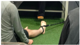 Joint Self-Mobility 101