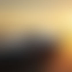 Essential Paint Protection Amor Technology for Your Tesla by First Class Autosports Miami