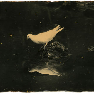 Masao Yamamoto image 2.jpg
