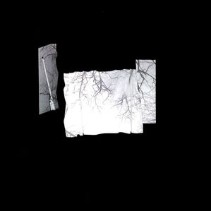 IMG_2398 edit for 2s.jpg