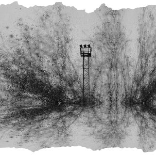 AO4 1 Brooks Salzwedel.jpg