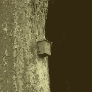 DSC_0159 Masao Yamamoto edit 1.jpg