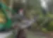 clean-up-img11.webp
