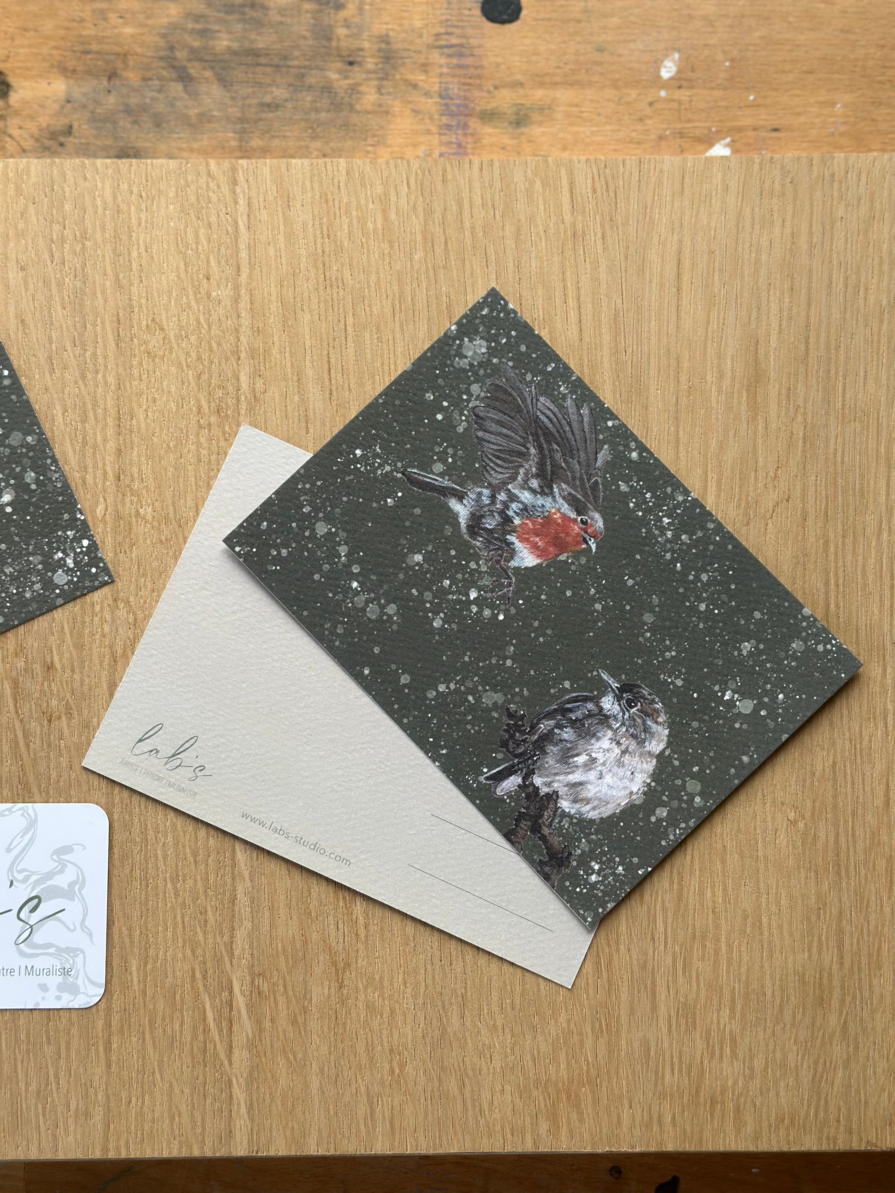 Carte postale Rouge-gorge & Fauvette